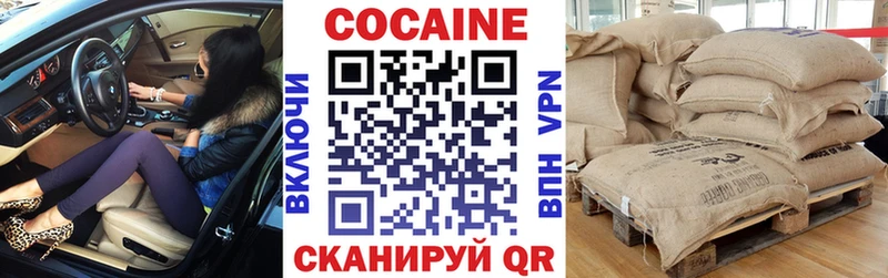 КОКАИН FishScale  MEGA как войти  Спасск 