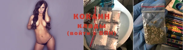 ПСИЛОЦИБИНОВЫЕ ГРИБЫ Арсеньев