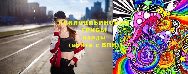 спайс Алексин