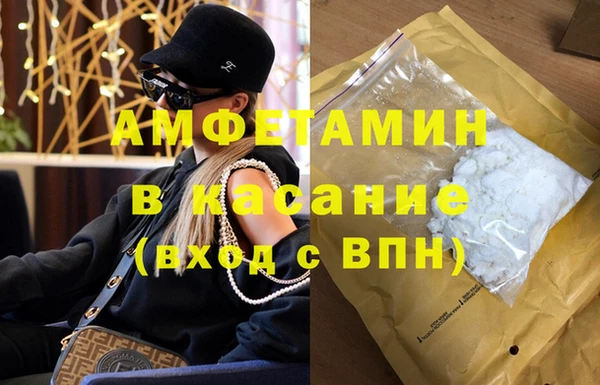 хмурый Аркадак