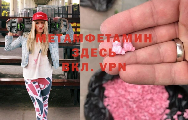 хмурый Аркадак