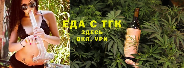 хмурый Аркадак