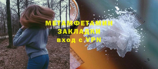 хмурый Аркадак