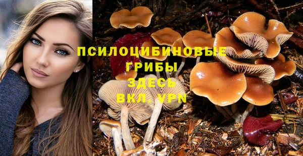 марки lsd Армянск