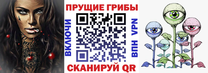 где можно купить   Спасск  Галлюциногенные грибы Magic Shrooms 